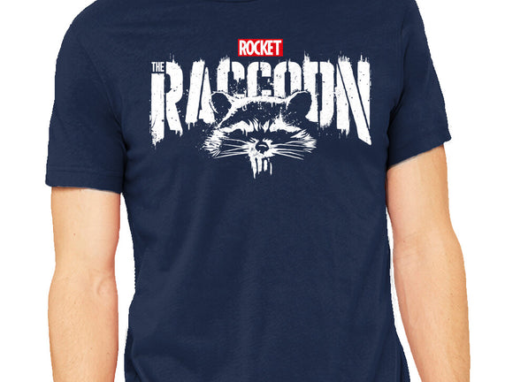 Raccoonisher