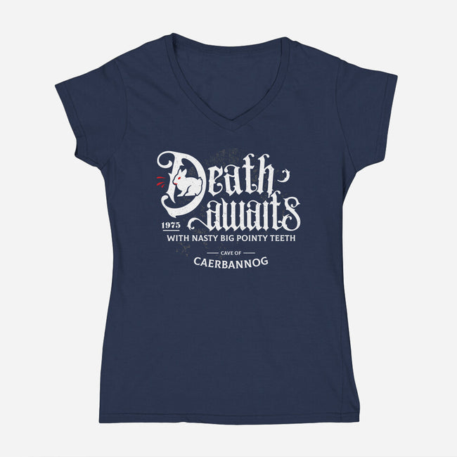 Death Awaits-Womens-V-Neck-Tee-Logozaste