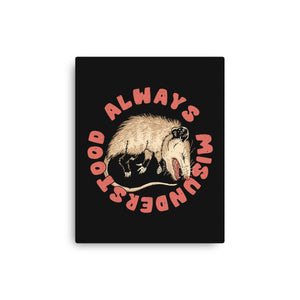 Misunderstood Possum