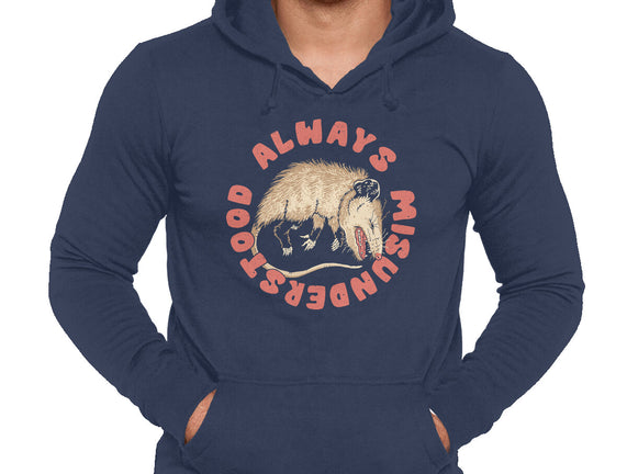 Misunderstood Possum