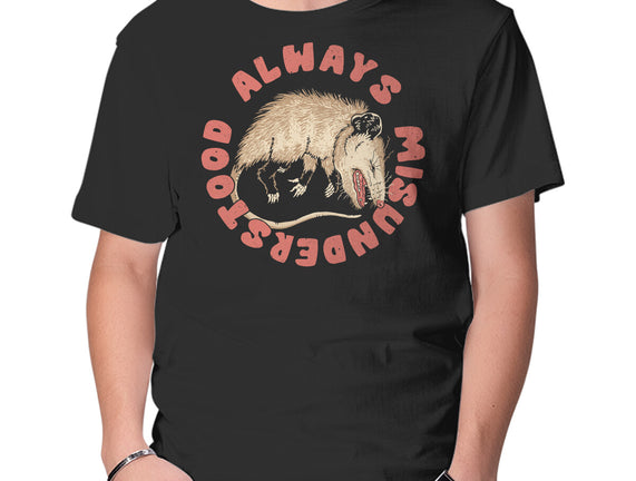 Misunderstood Possum