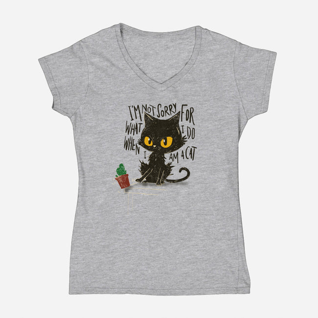 Not Sorry-Womens-V-Neck-Tee-kharmazero