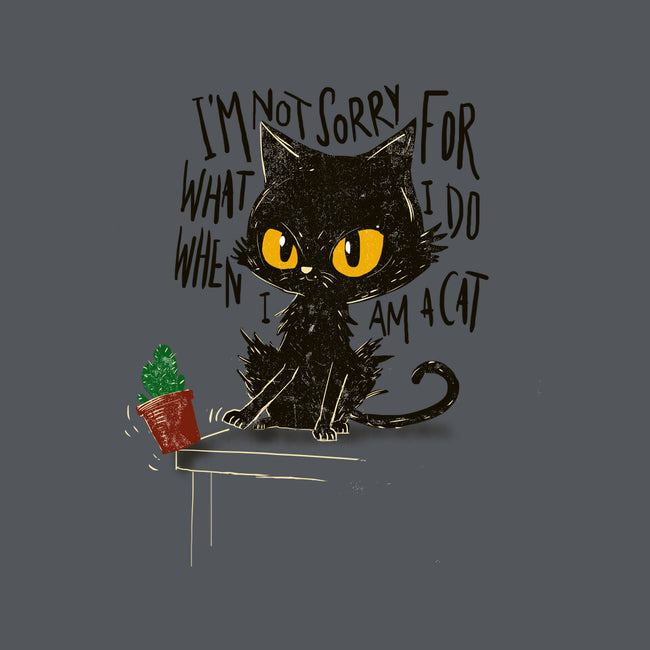 Not Sorry-Womens-Basic-Tee-kharmazero