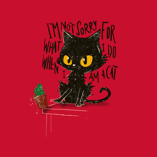 Not Sorry-Womens-Basic-Tee-kharmazero