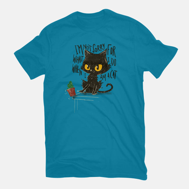 Not Sorry-Mens-Basic-Tee-kharmazero