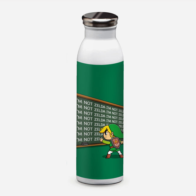Not Zelda-None-Water Bottle-Drinkware-Barbadifuoco