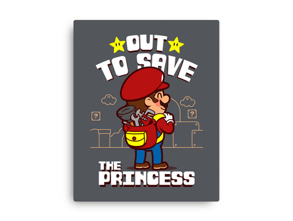 Out To Save The Princess