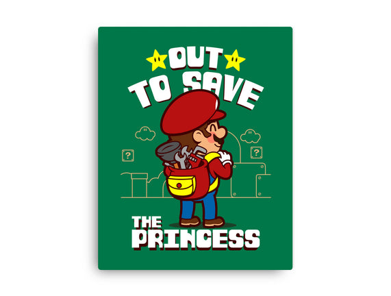 Out To Save The Princess