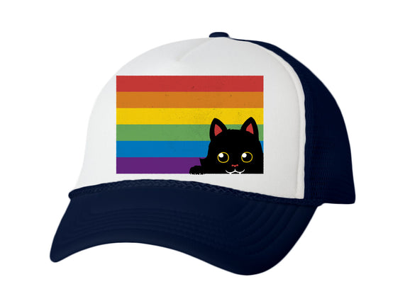 Peeking Cat Rainbow Pride Flag