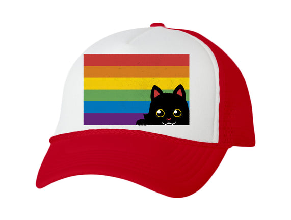 Peeking Cat Rainbow Pride Flag