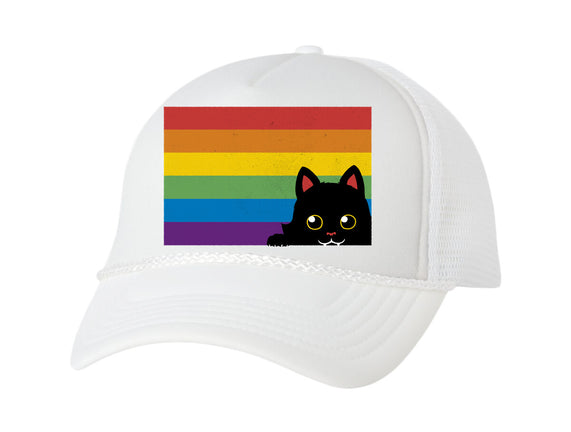 Peeking Cat Rainbow Pride Flag