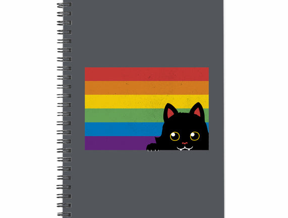 Peeking Cat Rainbow Pride Flag