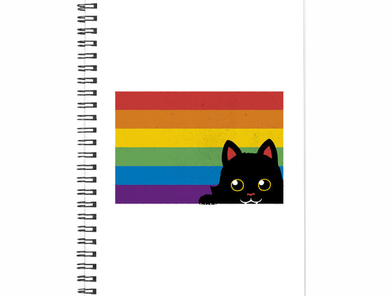 Peeking Cat Rainbow Pride Flag