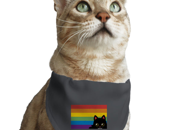 Peeking Cat Rainbow Pride Flag