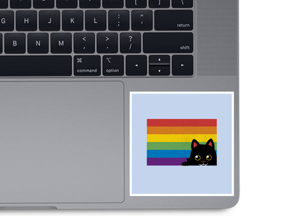 Peeking Cat Rainbow Pride Flag