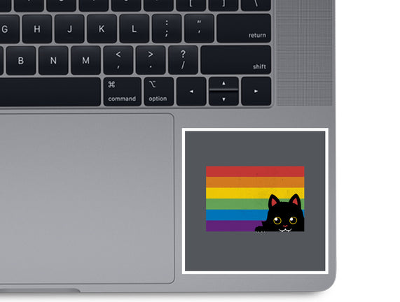 Peeking Cat Rainbow Pride Flag