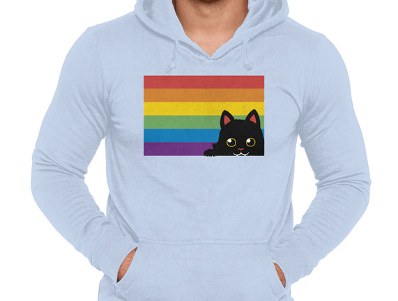 Peeking Cat Rainbow Pride Flag