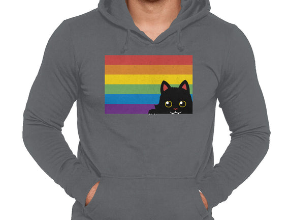 Peeking Cat Rainbow Pride Flag