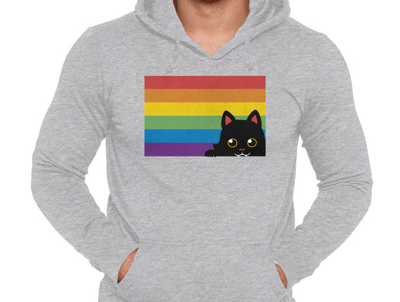 Peeking Cat Rainbow Pride Flag