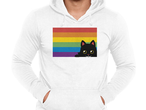 Peeking Cat Rainbow Pride Flag