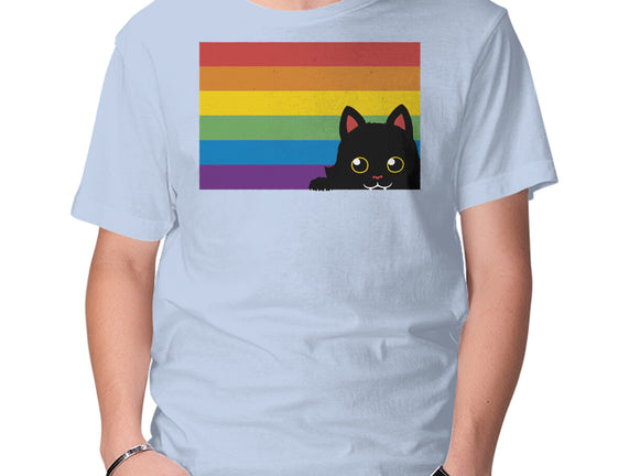 Peeking Cat Rainbow Pride Flag