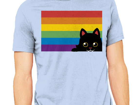 Peeking Cat Rainbow Pride Flag