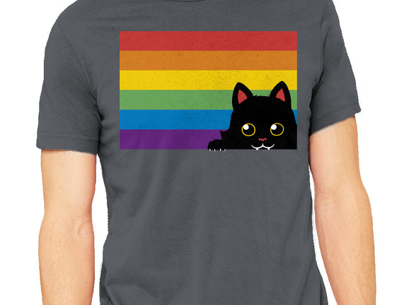 Peeking Cat Rainbow Pride Flag