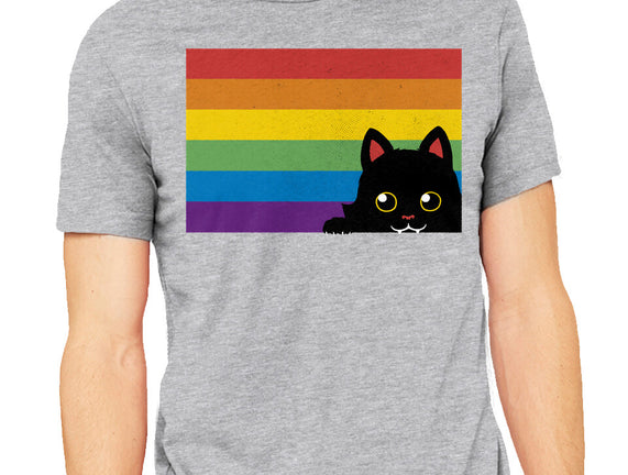 Peeking Cat Rainbow Pride Flag