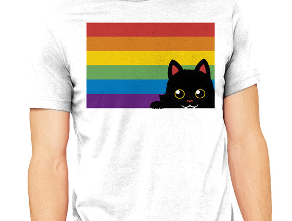 Peeking Cat Rainbow Pride Flag