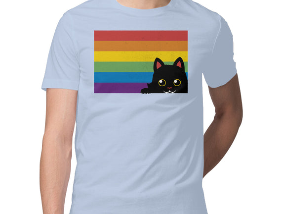 Peeking Cat Rainbow Pride Flag