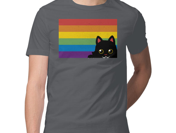 Peeking Cat Rainbow Pride Flag