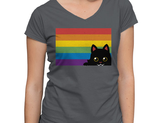 Peeking Cat Rainbow Pride Flag