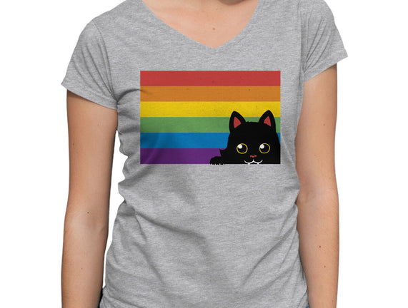 Peeking Cat Rainbow Pride Flag