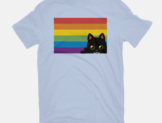 Peeking Cat Rainbow Pride Flag