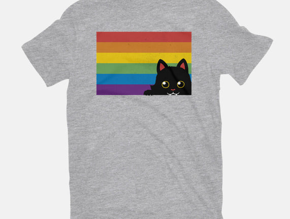 Peeking Cat Rainbow Pride Flag