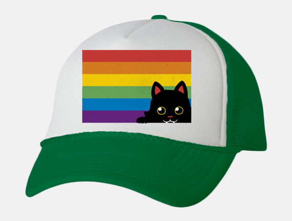 Peeking Cat Rainbow Pride Flag