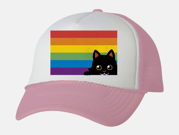 Peeking Cat Rainbow Pride Flag