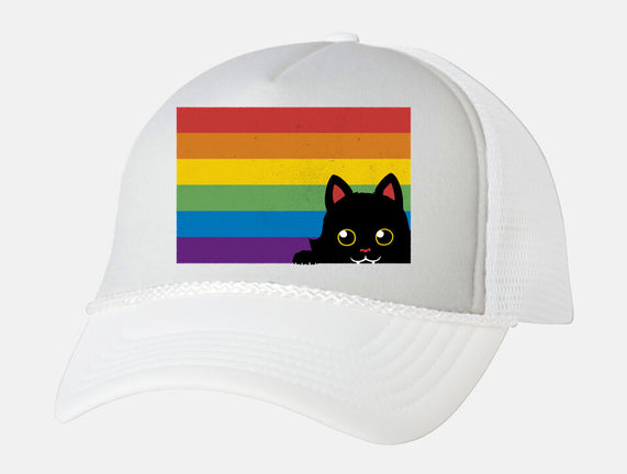 Peeking Cat Rainbow Pride Flag