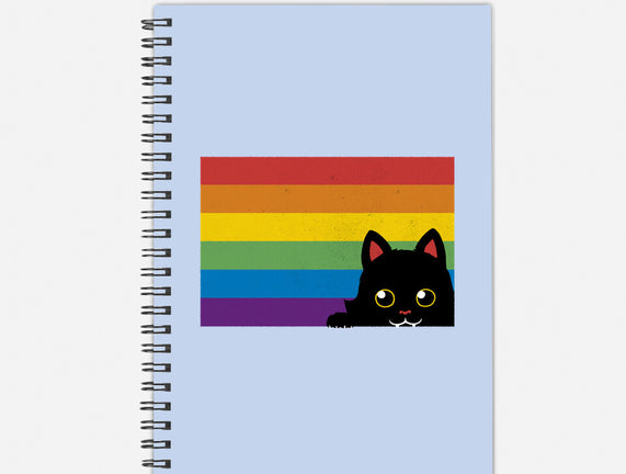 Peeking Cat Rainbow Pride Flag