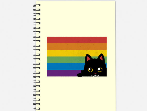 Peeking Cat Rainbow Pride Flag