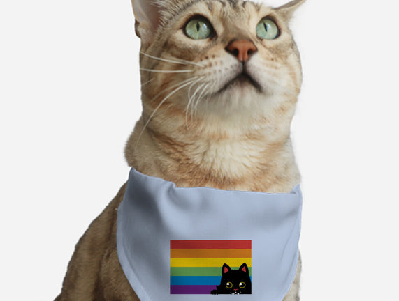 Peeking Cat Rainbow Pride Flag