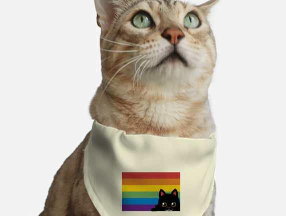 Peeking Cat Rainbow Pride Flag