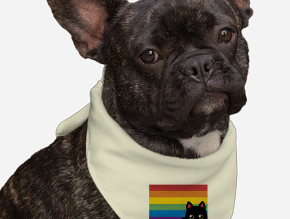 Peeking Cat Rainbow Pride Flag