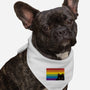 Peeking Cat Rainbow Pride Flag-Dog-Bandana-Pet Collar-tobefonseca