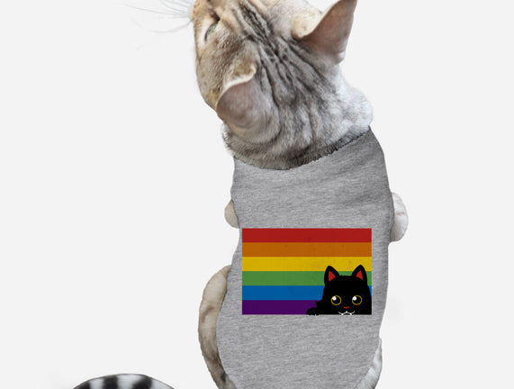 Peeking Cat Rainbow Pride Flag