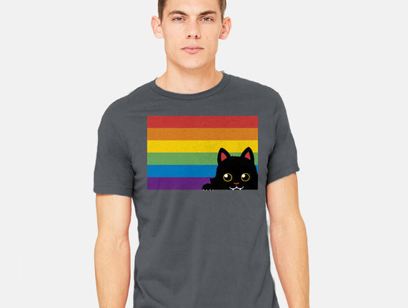 Peeking Cat Rainbow Pride Flag