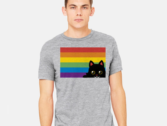 Peeking Cat Rainbow Pride Flag