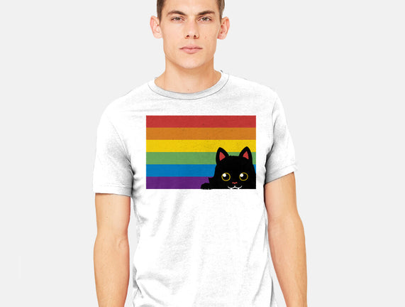 Peeking Cat Rainbow Pride Flag