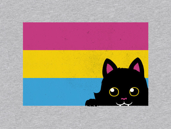 Peeking Cat Pan Flag