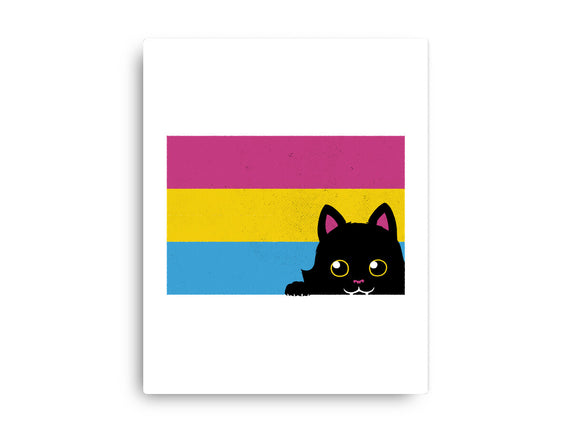 Peeking Cat Pan Flag